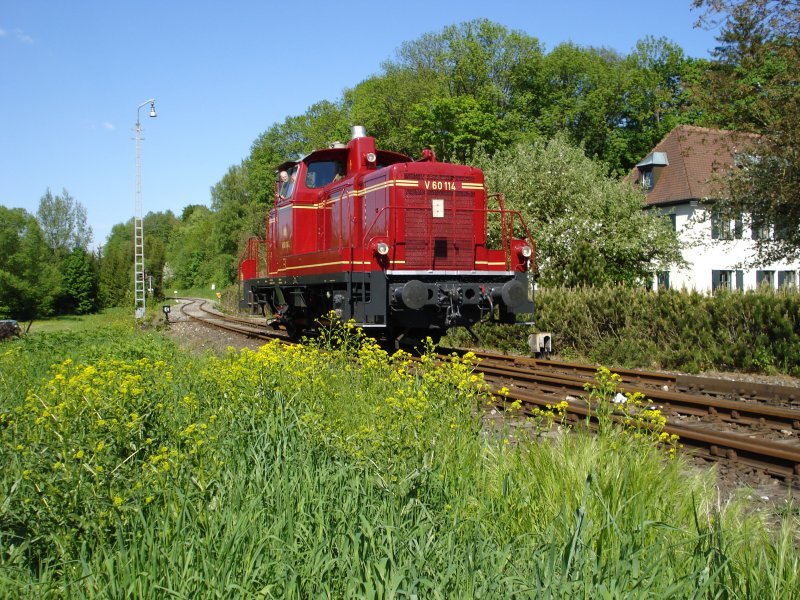 Die V 60 114 der DFS im altroten Lack wartet auf Einfahrt in den Bahnhof Ebermannstadt. 

