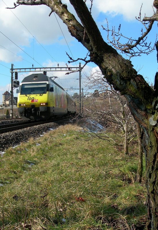 Re 460 053-8 mit IR in den Rebbergen bei Lutry 13.02.2009